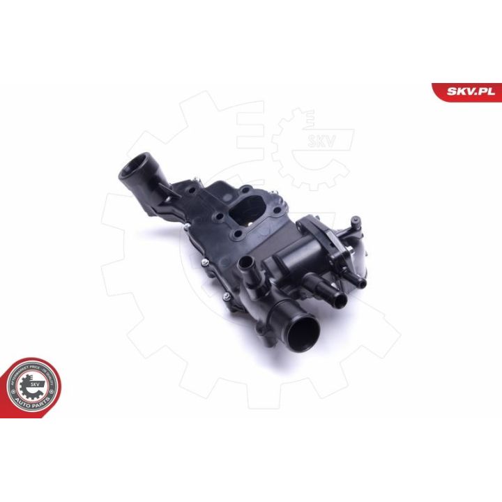 Termostatas, aušinimo skystis ESEN SKV 20SKV161