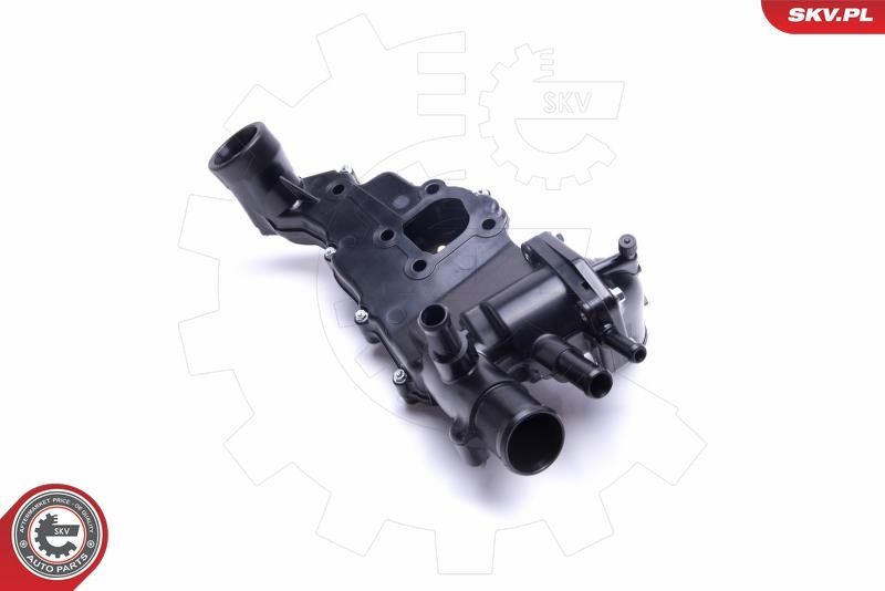 Termostatas, aušinimo skystis ESEN SKV 20SKV161