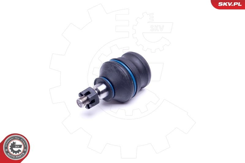 Šarnyras / girgždukas ESEN SKV 04SKV563