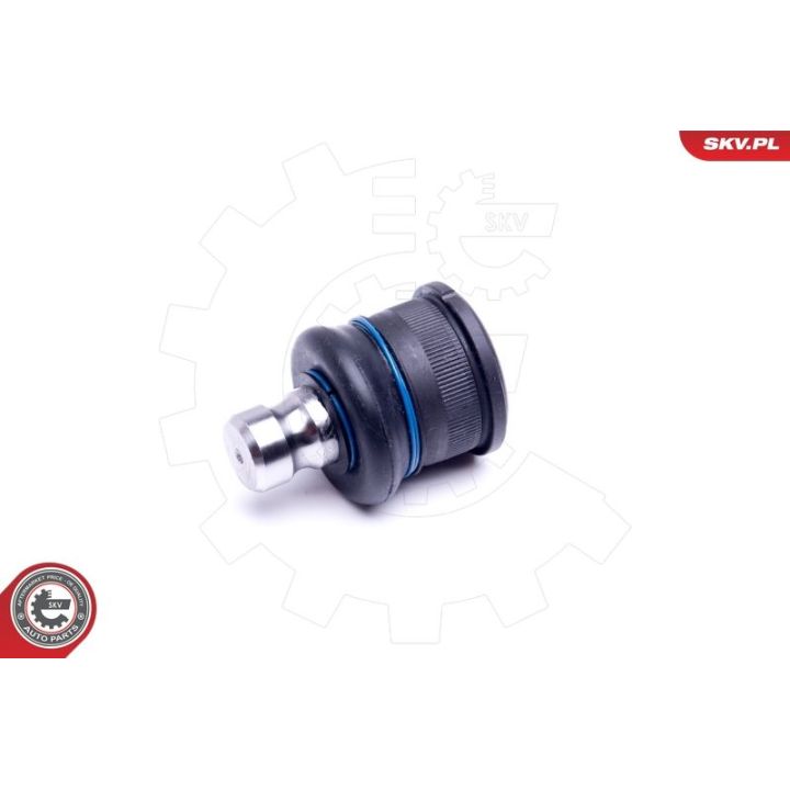 Šarnyras / girgždukas ESEN SKV 04SKV565