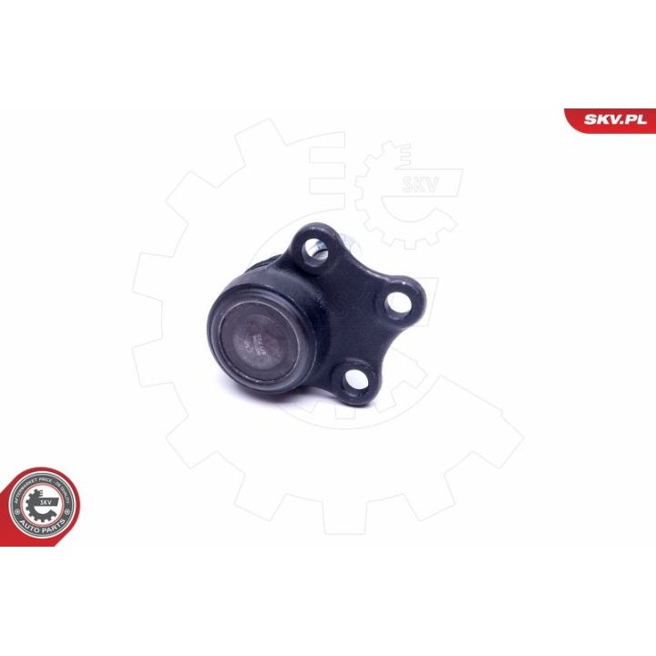 Šarnyras / girgždukas ESEN SKV 04SKV566