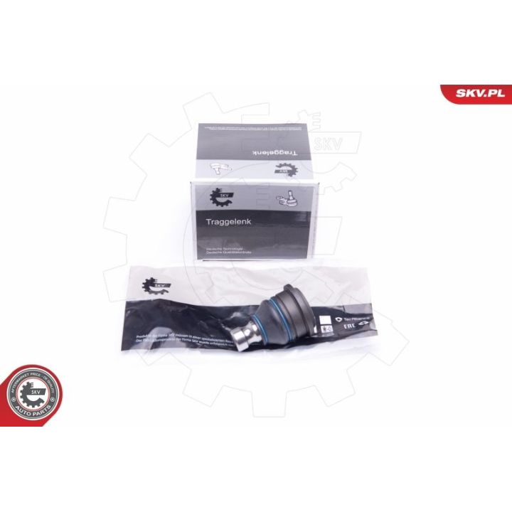 Šarnyras / girgždukas ESEN SKV 04SKV577