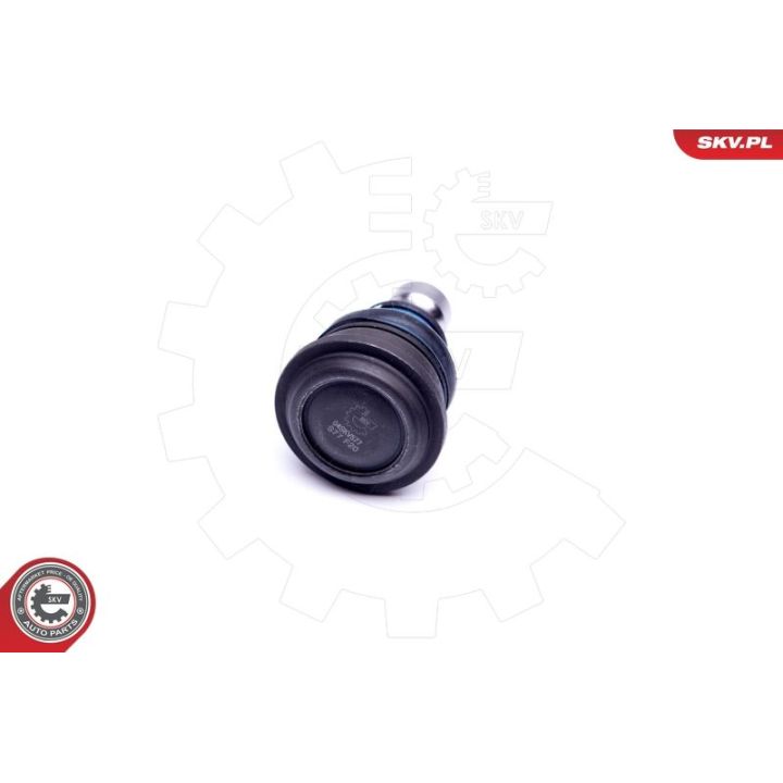 Šarnyras / girgždukas ESEN SKV 04SKV577