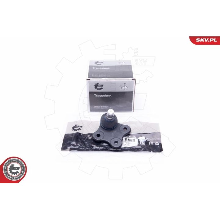 Šarnyras / girgždukas ESEN SKV 04SKV581