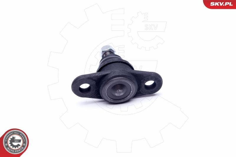 Šarnyras / girgždukas ESEN SKV 04SKV583