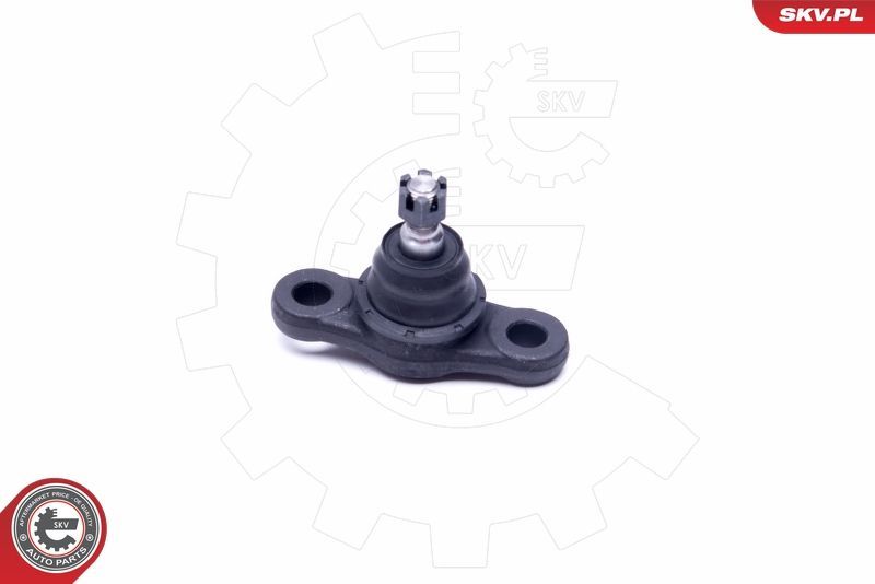 Šarnyras / girgždukas ESEN SKV 04SKV585