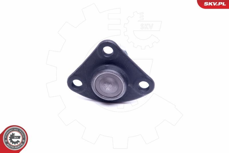 Šarnyras / girgždukas ESEN SKV 04SKV590