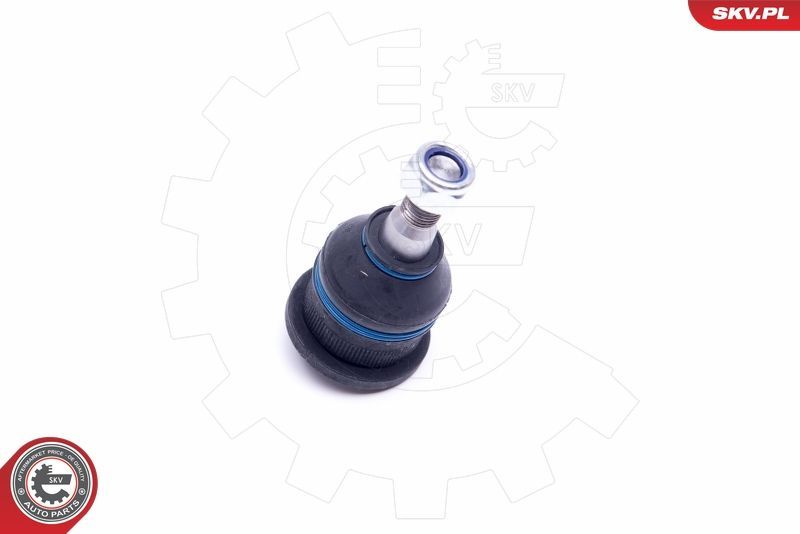 Šarnyras / girgždukas ESEN SKV 04SKV603