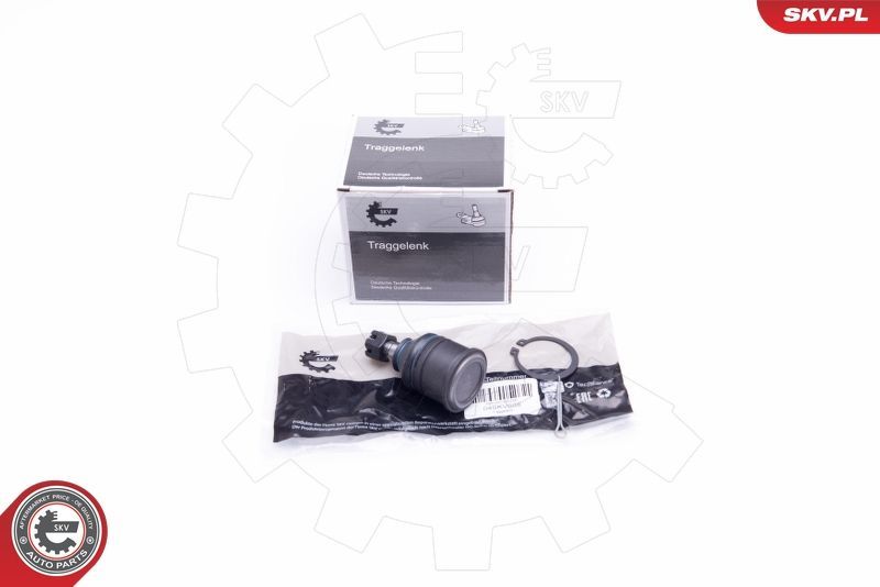 Šarnyras / girgždukas ESEN SKV 04SKV608