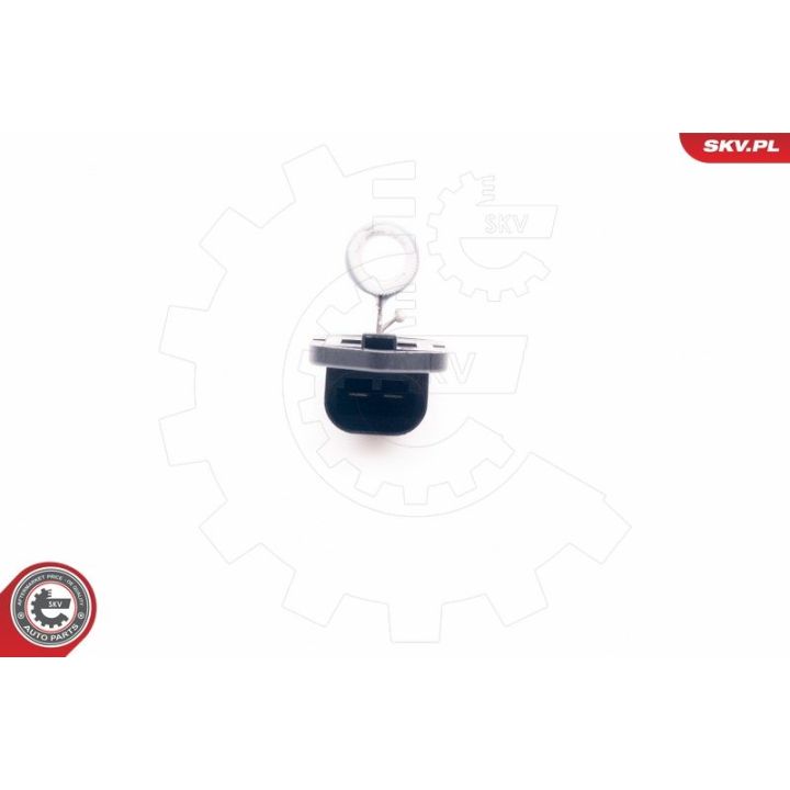 Varža, vidaus pūtiklis ESEN SKV 94SKV002