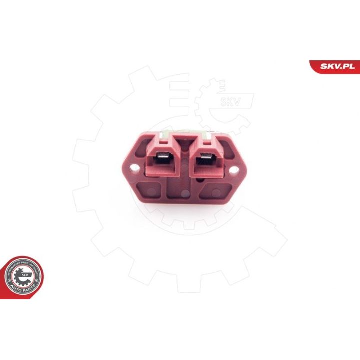 Varža, vidaus pūtiklis ESEN SKV 94SKV018