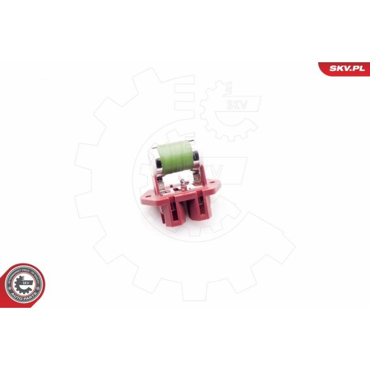 Varža, vidaus pūtiklis ESEN SKV 94SKV018