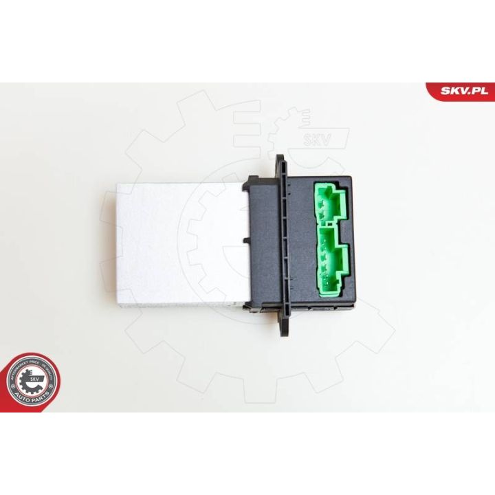 Varža, vidaus pūtiklis ESEN SKV 95SKV003