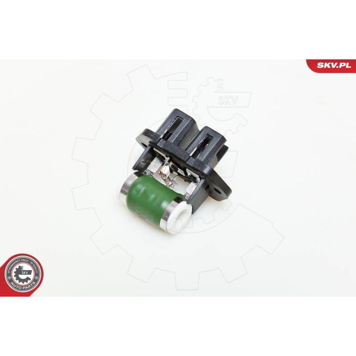 Varža, vidaus pūtiklis ESEN SKV 95SKV011