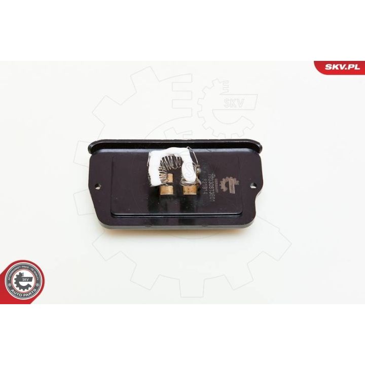 Varža, vidaus pūtiklis ESEN SKV 95SKV017