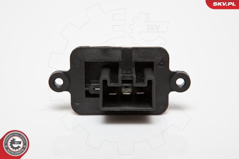 Varža, vidaus pūtiklis ESEN SKV 95SKV018