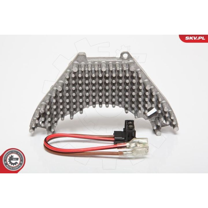 Varža, vidaus pūtiklis ESEN SKV 95SKV024