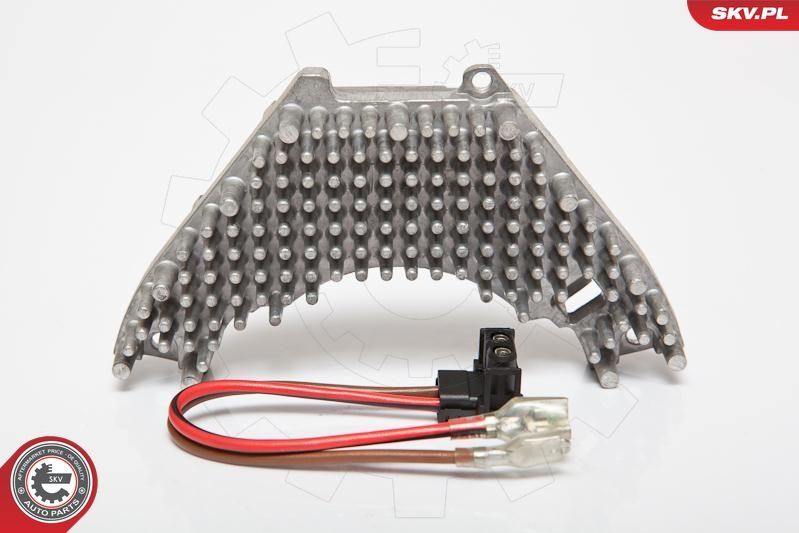 Varža, vidaus pūtiklis ESEN SKV 95SKV024