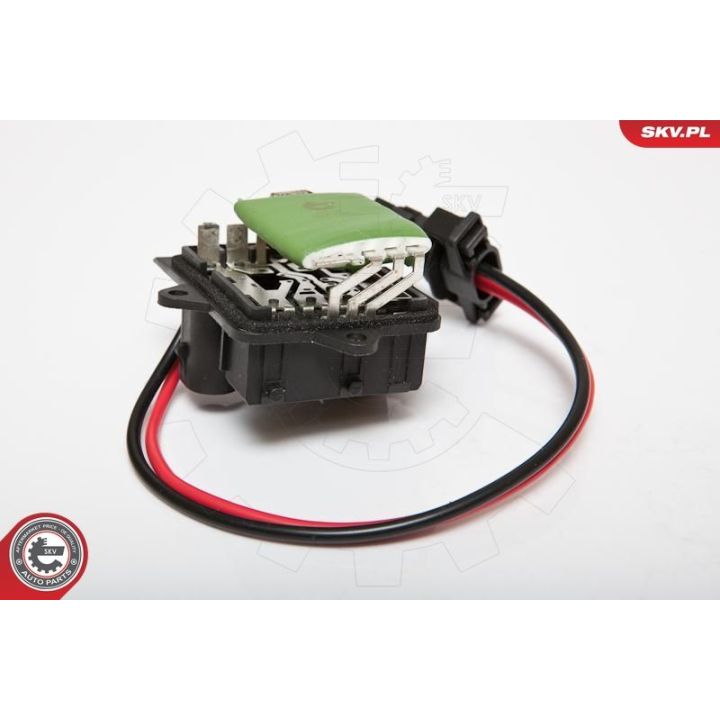 Varža, vidaus pūtiklis ESEN SKV 95SKV025