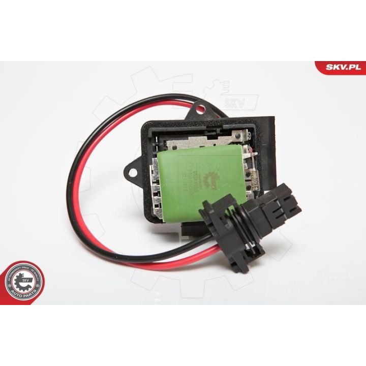 Varža, vidaus pūtiklis ESEN SKV 95SKV025