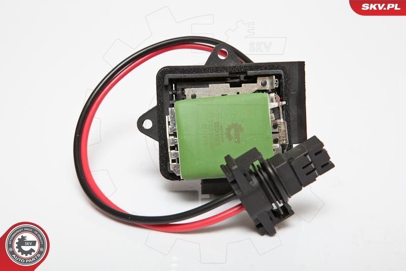 Varža, vidaus pūtiklis ESEN SKV 95SKV025