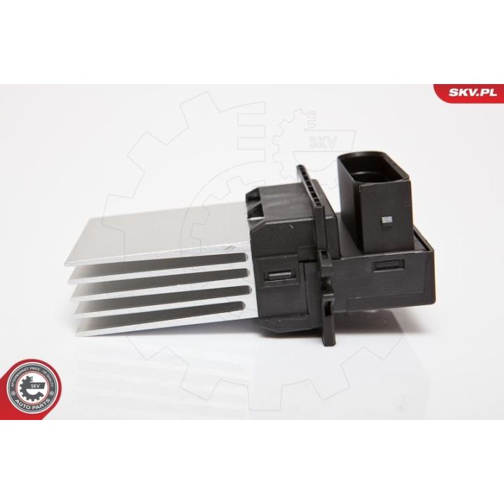 Varža, vidaus pūtiklis ESEN SKV 95SKV034