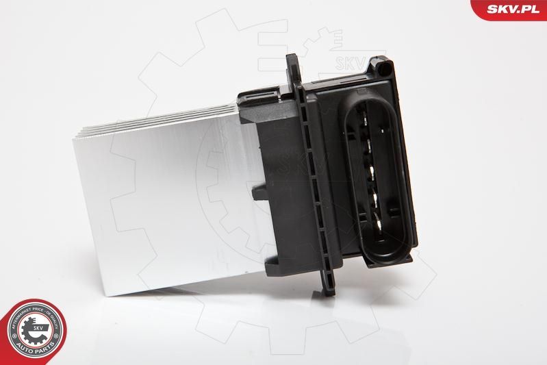 Varža, vidaus pūtiklis ESEN SKV 95SKV034