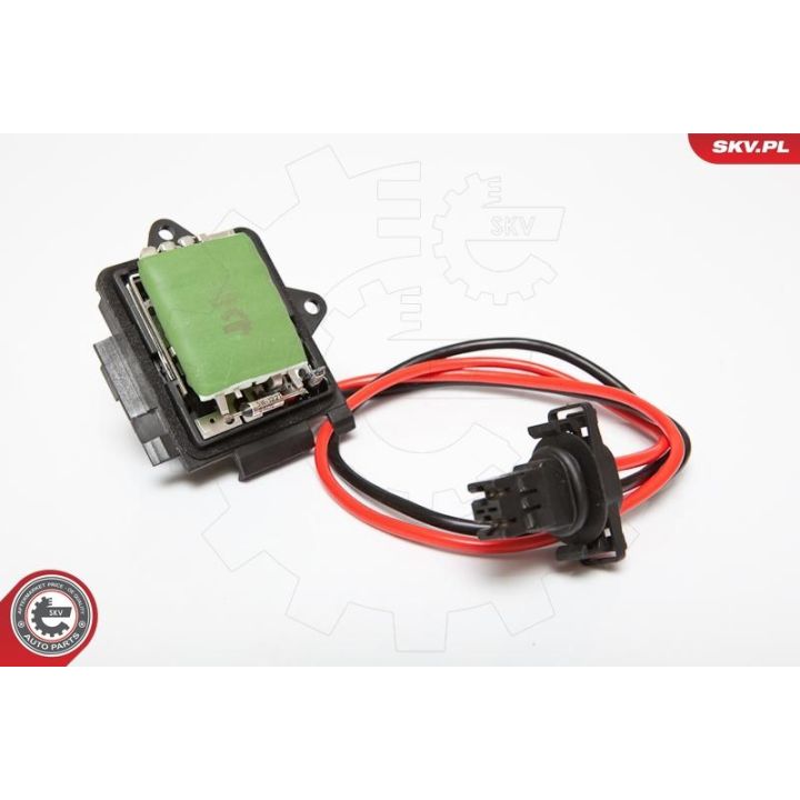 Varža, vidaus pūtiklis ESEN SKV 95SKV036