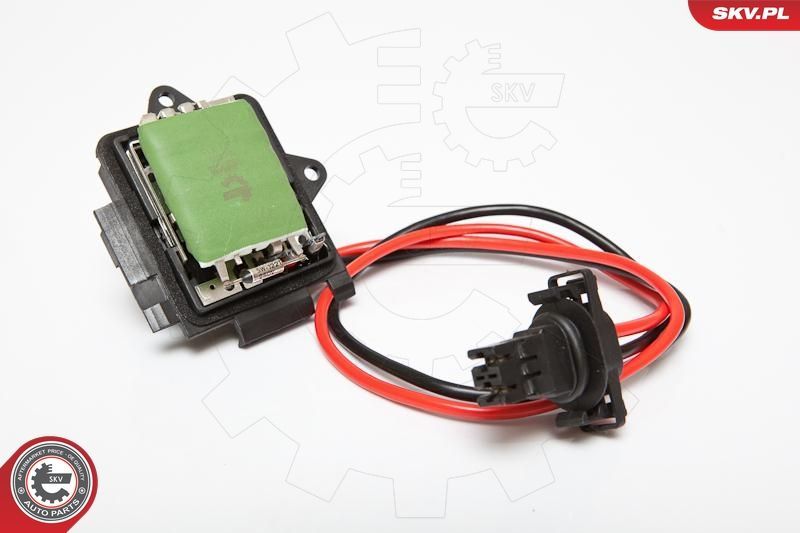 Varža, vidaus pūtiklis ESEN SKV 95SKV036