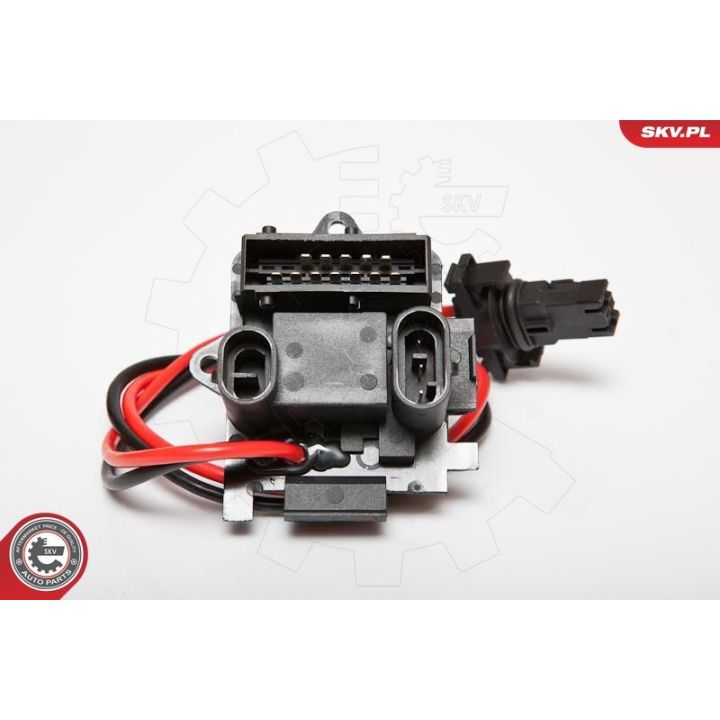 Varža, vidaus pūtiklis ESEN SKV 95SKV036