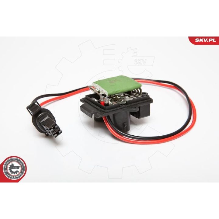 Varža, vidaus pūtiklis ESEN SKV 95SKV036