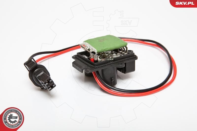 Varža, vidaus pūtiklis ESEN SKV 95SKV036