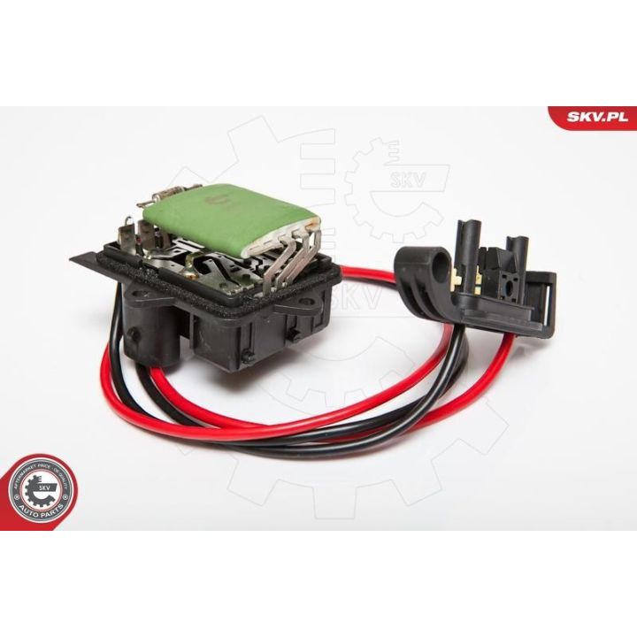 Varža, vidaus pūtiklis ESEN SKV 95SKV037