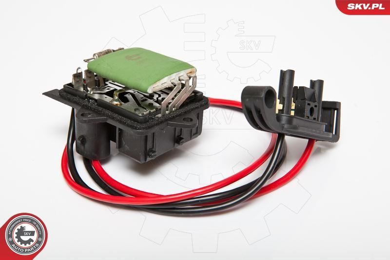 Varža, vidaus pūtiklis ESEN SKV 95SKV037