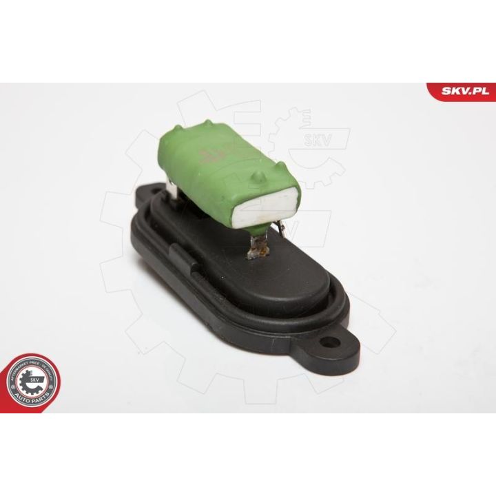 Varža, vidaus pūtiklis ESEN SKV 95SKV039