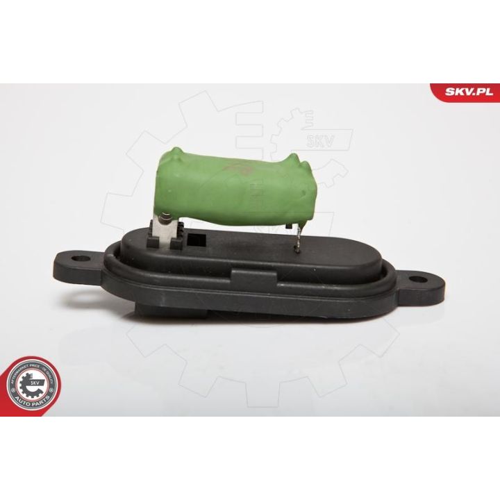 Varža, vidaus pūtiklis ESEN SKV 95SKV039