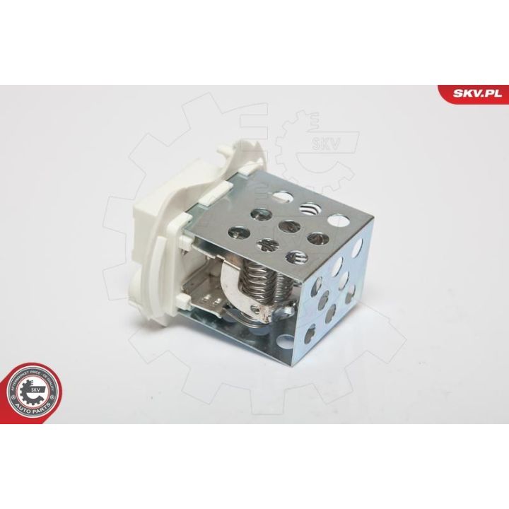 Varža, vidaus pūtiklis ESEN SKV 95SKV041