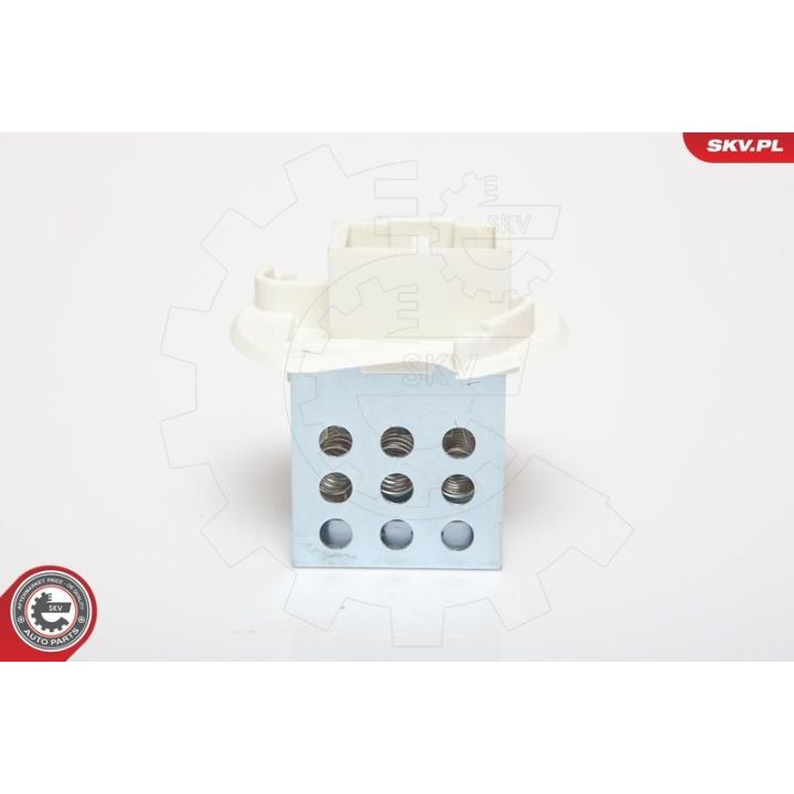 Varža, vidaus pūtiklis ESEN SKV 95SKV041