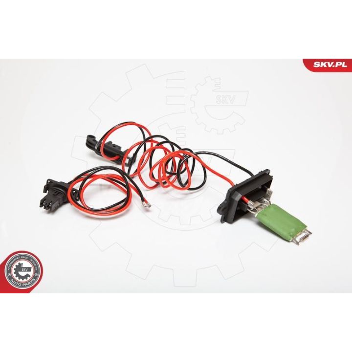 Varža, vidaus pūtiklis ESEN SKV 95SKV043