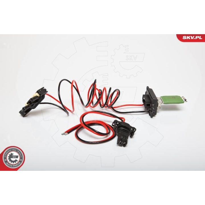 Varža, vidaus pūtiklis ESEN SKV 95SKV043