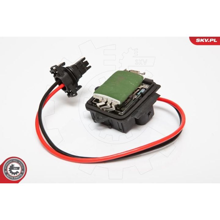 Varža, vidaus pūtiklis ESEN SKV 95SKV044