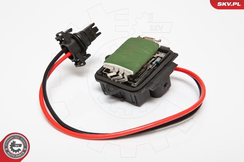 Varža, vidaus pūtiklis ESEN SKV 95SKV044