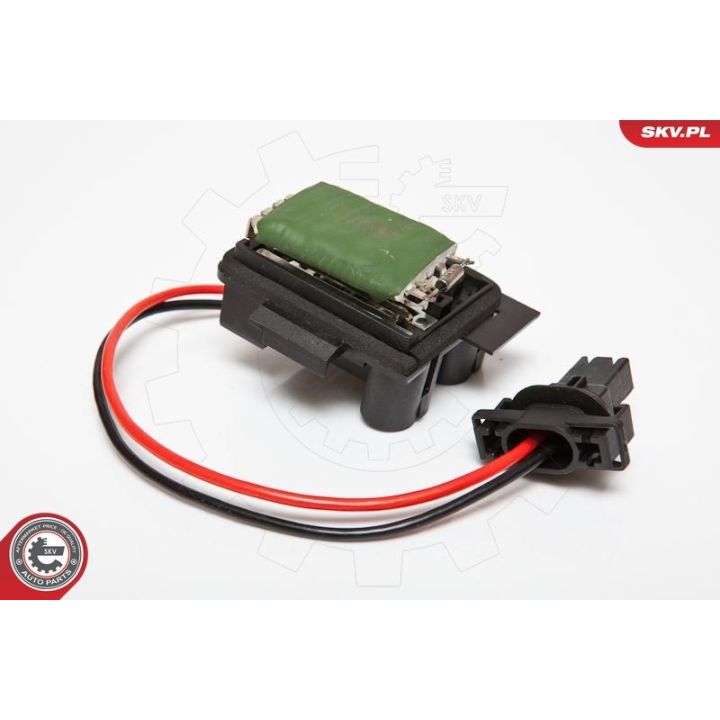 Varža, vidaus pūtiklis ESEN SKV 95SKV045