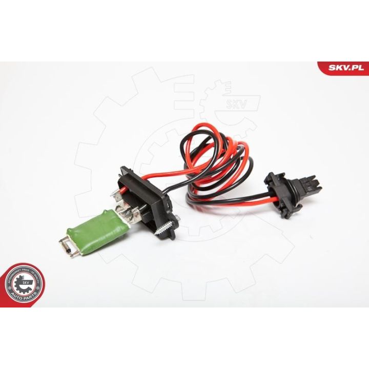 Varža, vidaus pūtiklis ESEN SKV 95SKV046