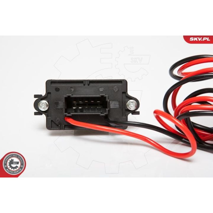 Varža, vidaus pūtiklis ESEN SKV 95SKV046