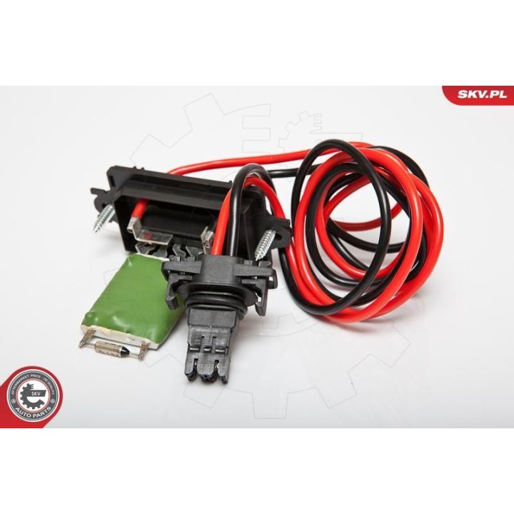 Varža, vidaus pūtiklis ESEN SKV 95SKV046