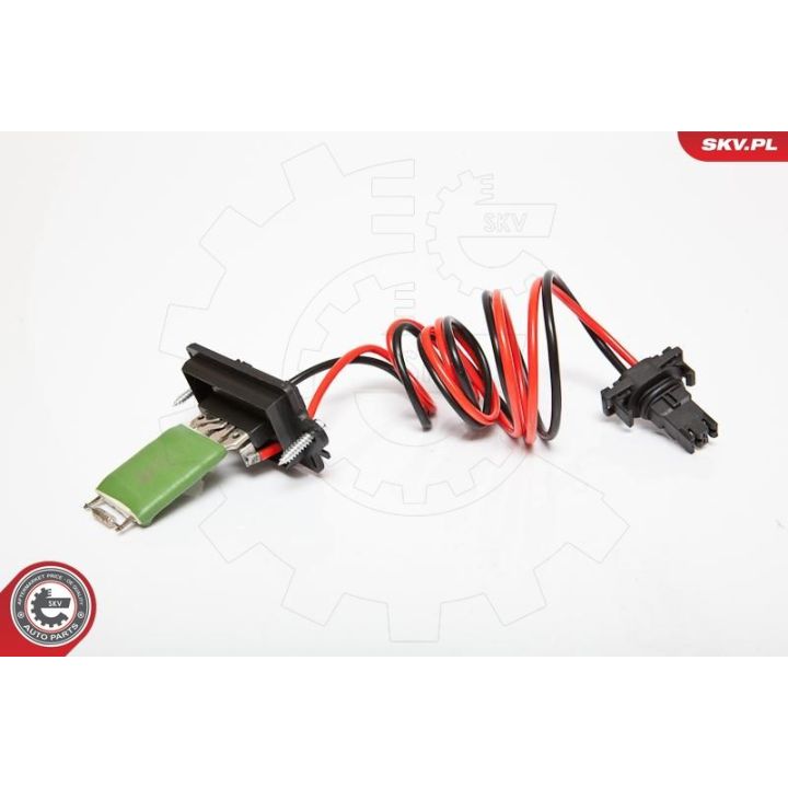 Varža, vidaus pūtiklis ESEN SKV 95SKV046