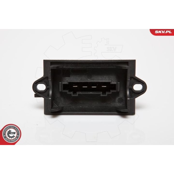 Varža, vidaus pūtiklis ESEN SKV 95SKV053