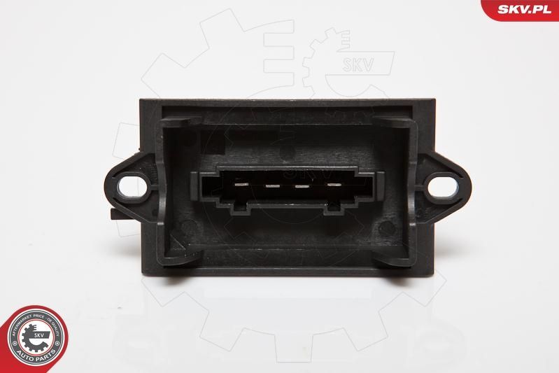 Varža, vidaus pūtiklis ESEN SKV 95SKV053