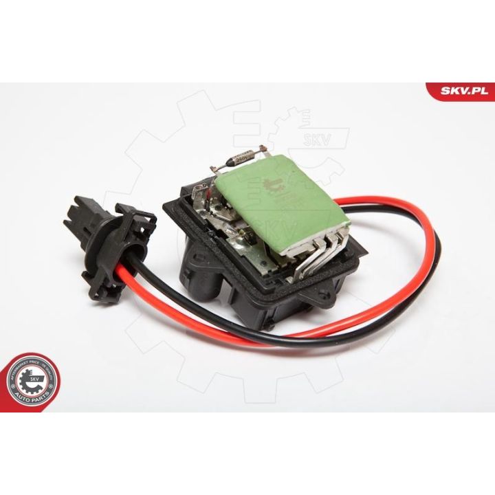 Varža, vidaus pūtiklis ESEN SKV 95SKV065